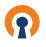 Openvpn